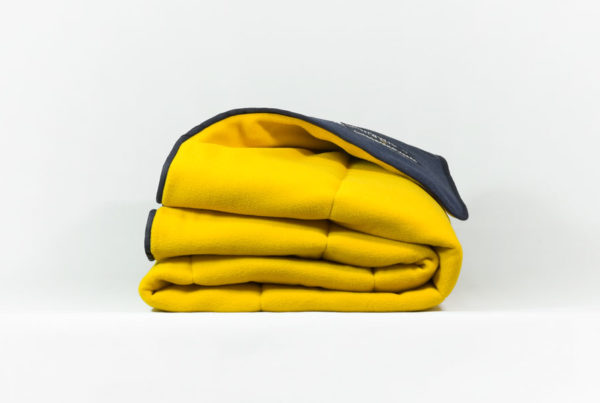 Van pelt blanket trapunta studio pastina